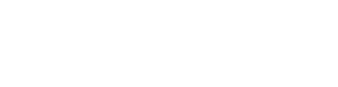 清华大学战略与安全研究中心